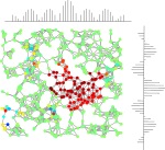 GRAPH SIGNALS : LEARNING AND OPTIMIZATION PERSPECTIVES