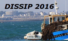 Summer School DISSIP 2016