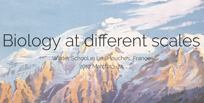 Winter school "Biology at different scales, an interplay between physics and biology"