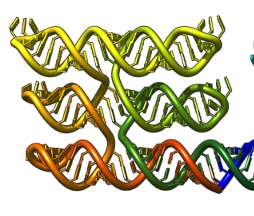 ER02: Molecular programming