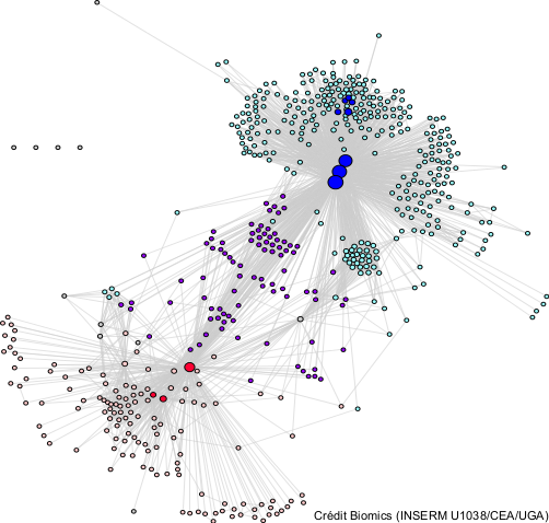 Networks and patterns 