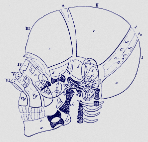 Cognitive Systems & Epistemology