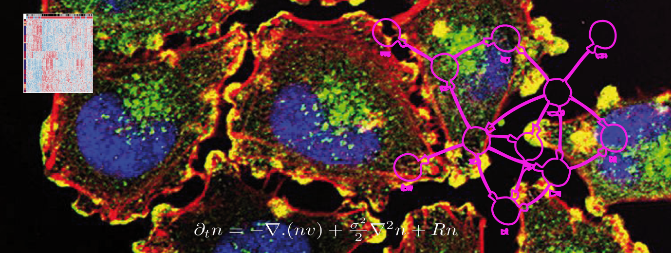 compsyscan22 : A complex systems approach to cancer understanding